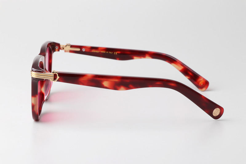 CT0396S Sunglasses Tortoise Pink