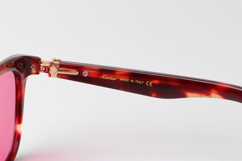 CT0396S Sunglasses Tortoise Pink