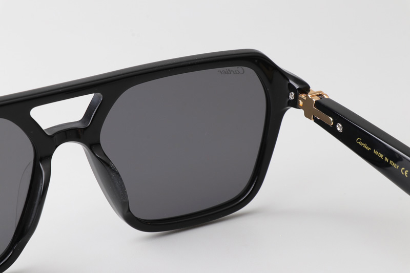 CT0415S Sunglasses Black Gold Gray