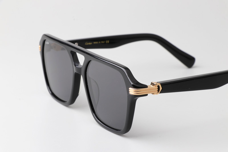 CT0415S Sunglasses Black Gold Gray