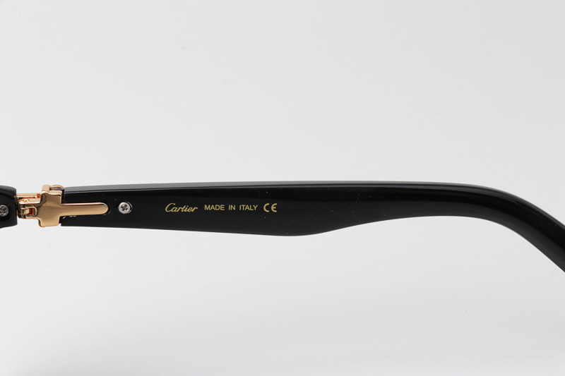 CT0415S Sunglasses Black Gold Gray