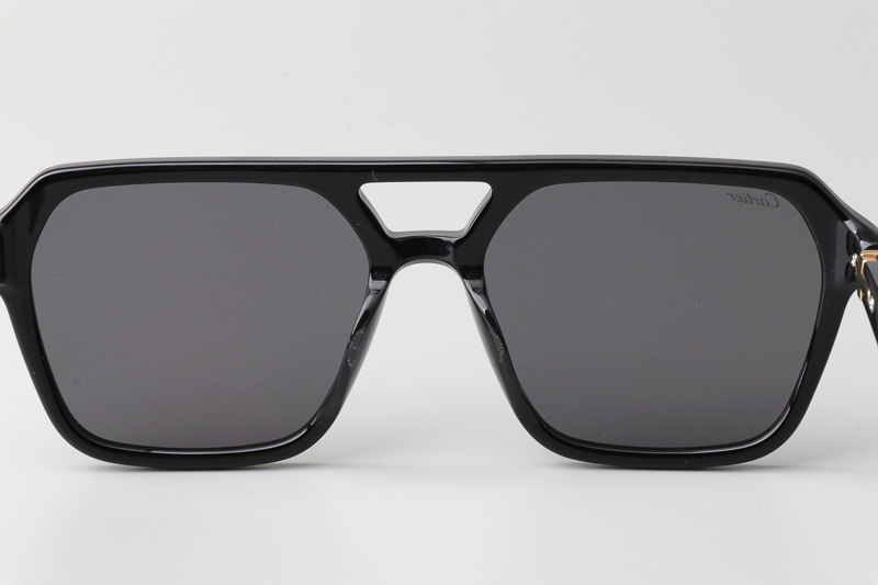 CT0415S Sunglasses Black Gold Gray
