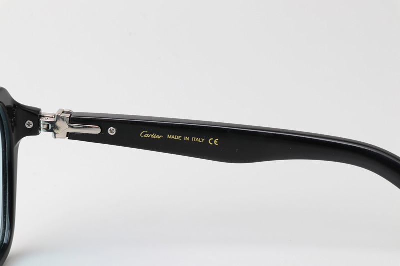 CT0415S Sunglasses Black Silver Blue