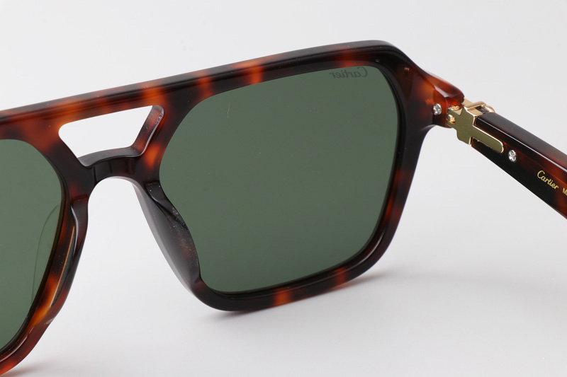CT0415S Sunglasses Tortoise Green