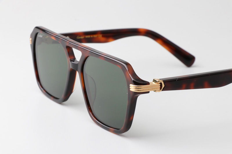 CT0415S Sunglasses Tortoise Green