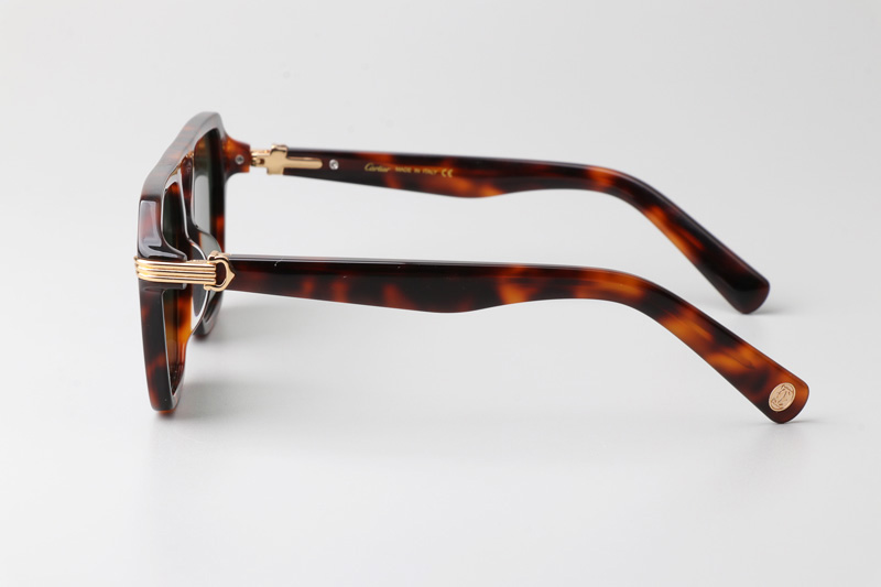 CT0415S Sunglasses Tortoise Green