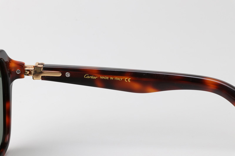 CT0415S Sunglasses Tortoise Green