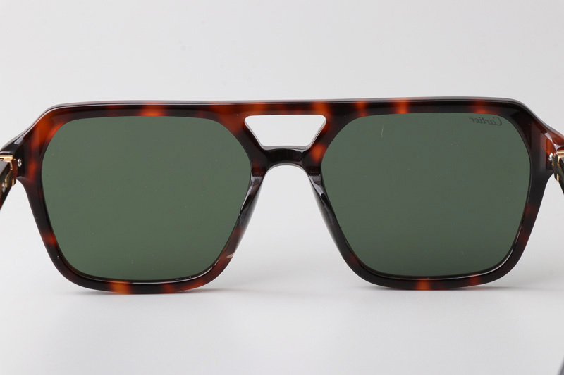 CT0415S Sunglasses Tortoise Green