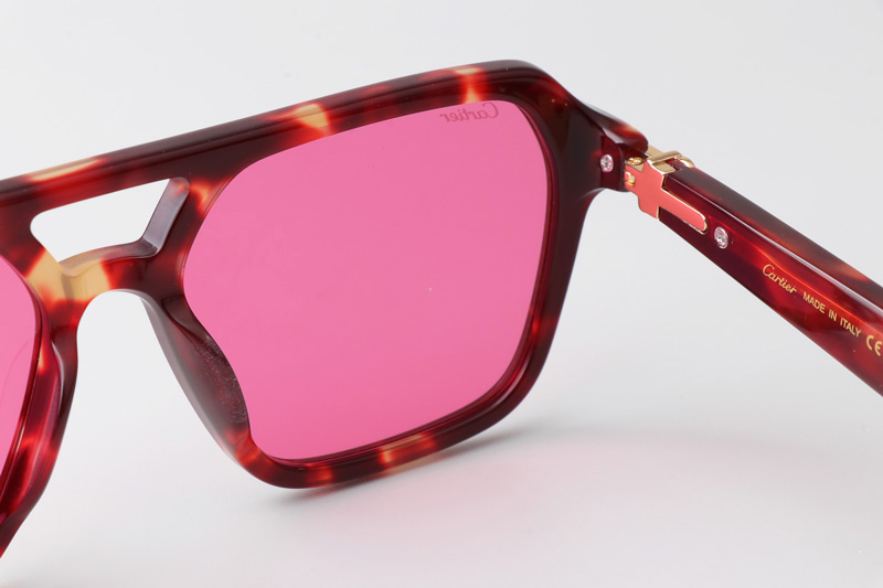 CT0415S Sunglasses Tortoise Pink