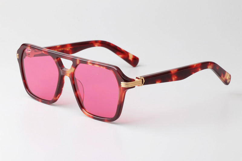 CT0415S Sunglasses Tortoise Pink
