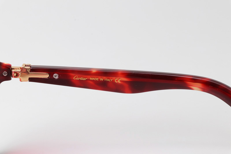 CT0415S Sunglasses Tortoise Pink