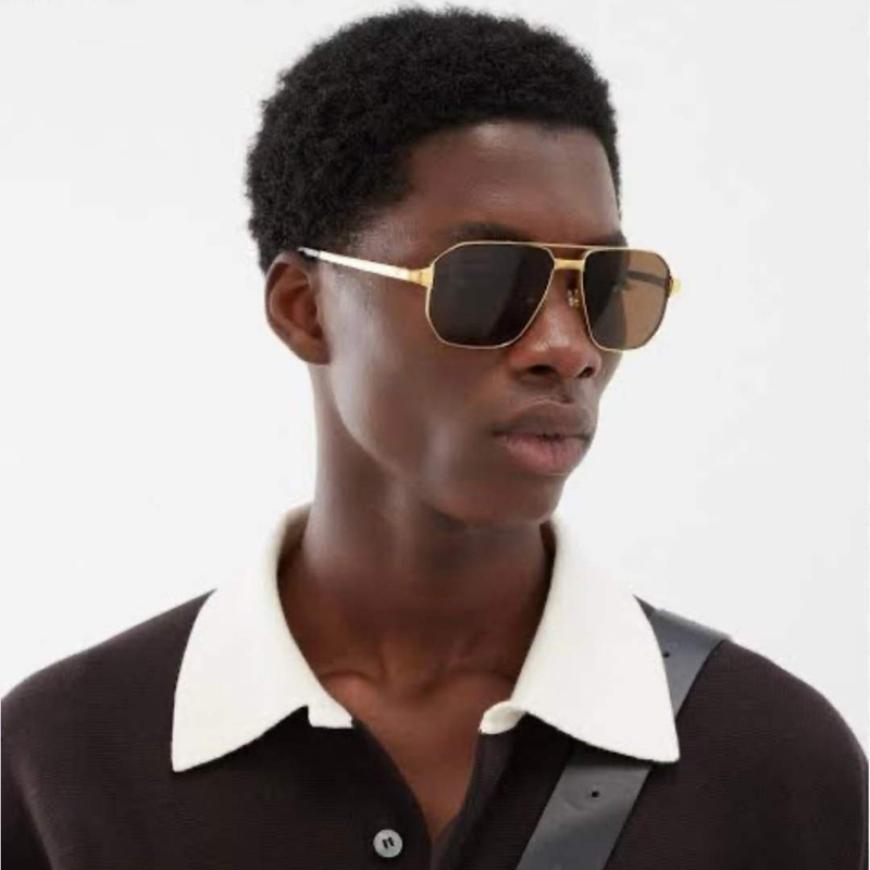 CT0424S Sunglasses Gold Brown