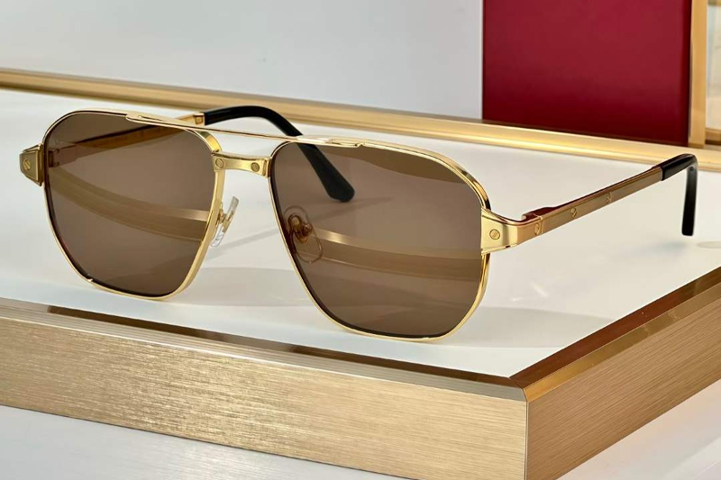 CT0424S Sunglasses Gold Brown
