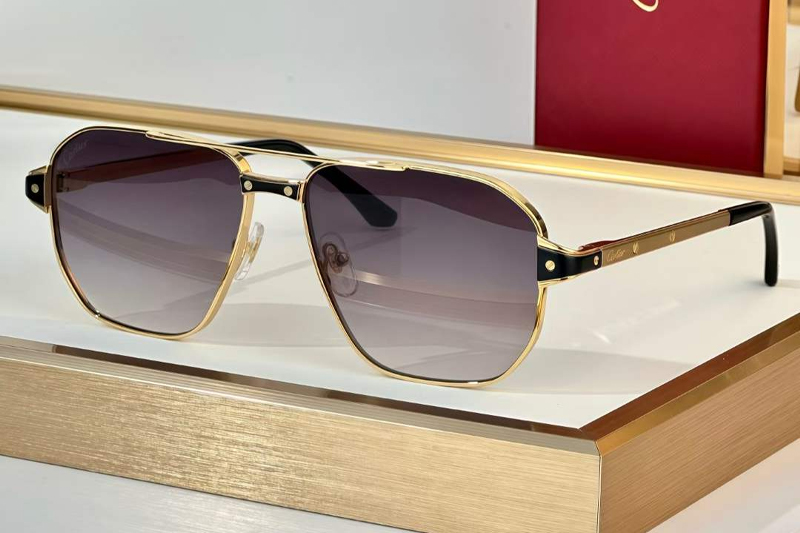 CT0424S Sunglasses Gold Gradient Gray