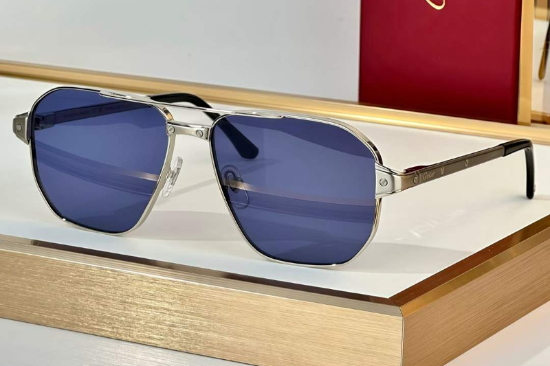 CT0424S Sunglasses Silver Blue