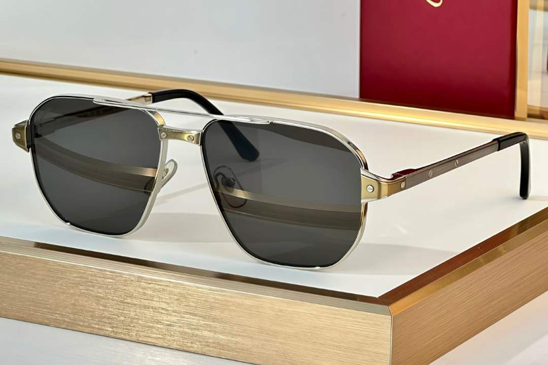 CT0424S Sunglasses Silver Gray