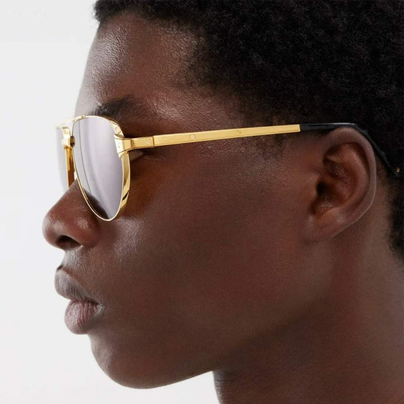 CT0425S Sunglasses Gold Brown