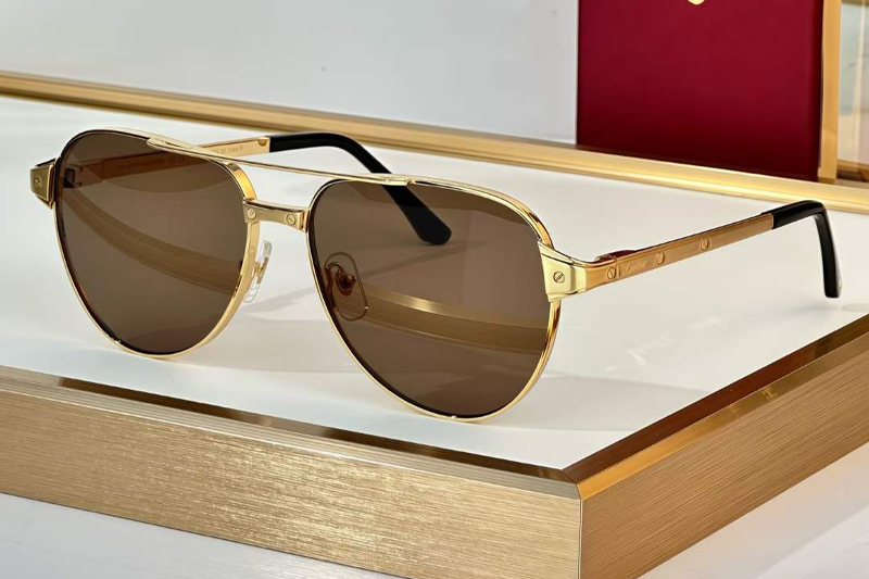 CT0425S Sunglasses Gold Brown