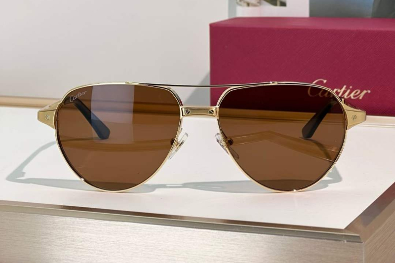 CT0425S Sunglasses Gold Brown