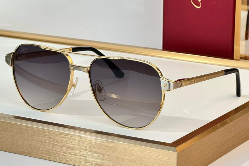 CT0425S Sunglasses Gold Gradient Gray