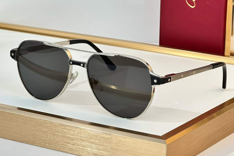 CT0425S Sunglasses Silver Black Gray