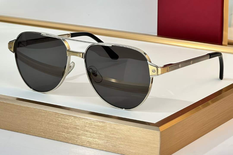 CT0425S Sunglasses Silver Gold Gray
