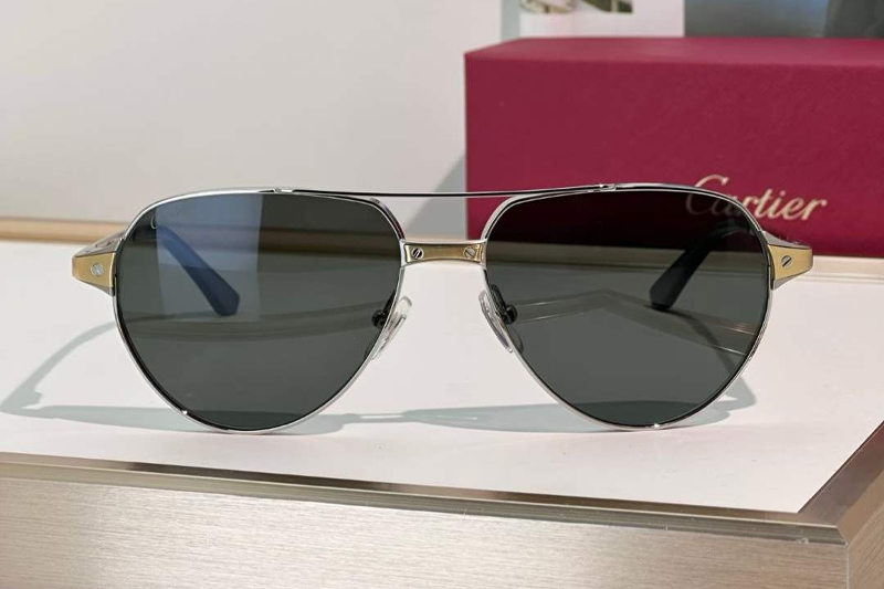 CT0425S Sunglasses Silver Gold Gray
