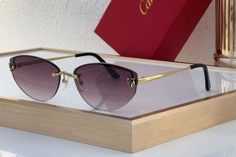 CT0431S Sunglasses Gold Gradient Pink