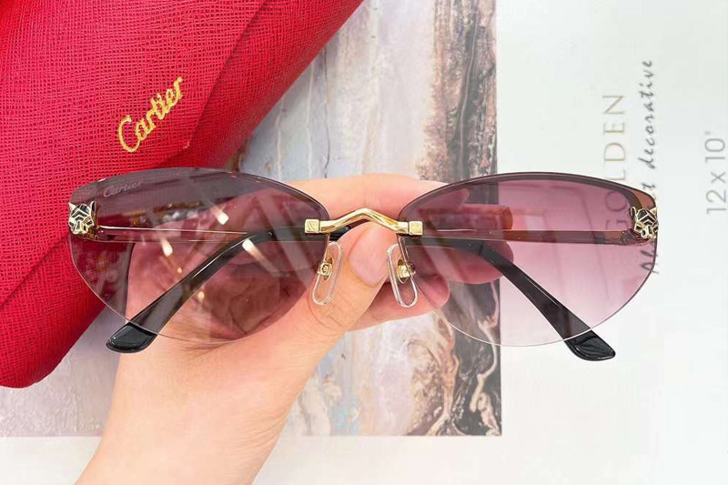 CT0431S Sunglasses Gold Gradient Pink