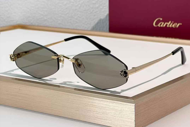 CT0433S Sunglasses Gold Brown