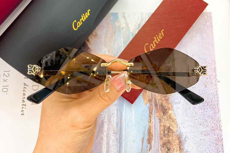 CT0433S Sunglasses Gold Brown