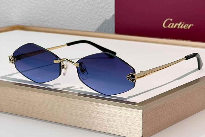 CT0433S Sunglasses Gold Gradient Blue