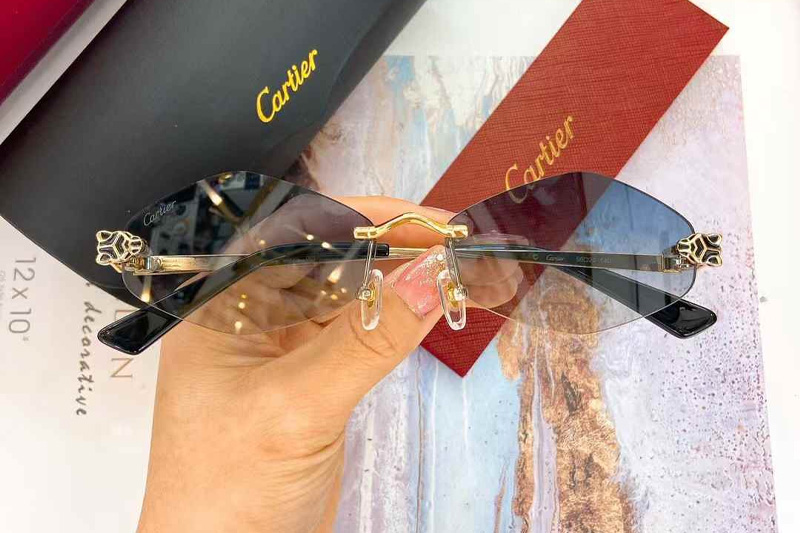 CT0433S Sunglasses Gold Gradient Light Blue