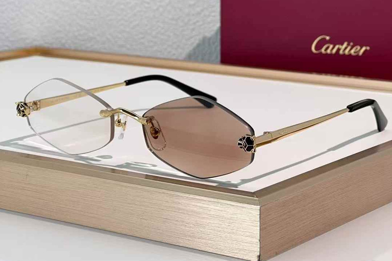 CT0433S Sunglasses Gold Photochromic Brown