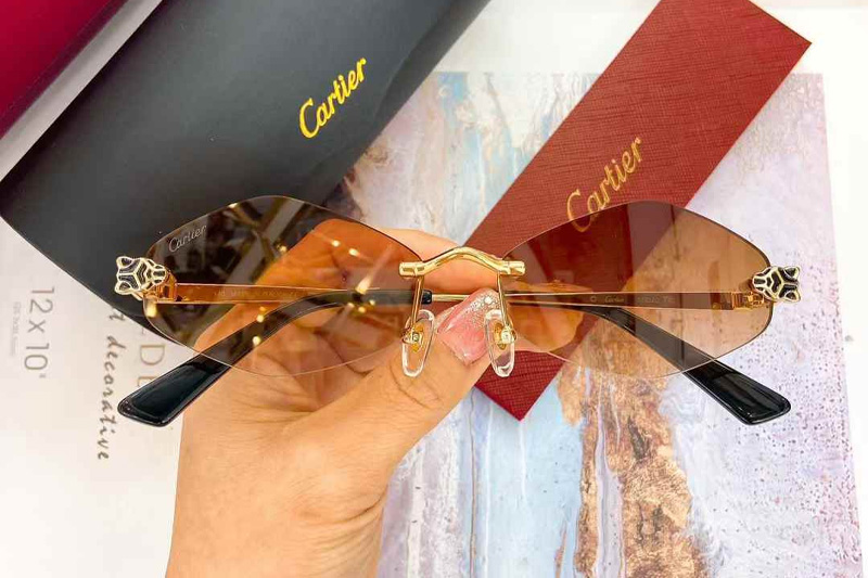 CT0433S Sunglasses Gold Photochromic Brown