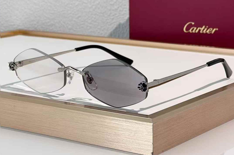 CT0433S Sunglasses Silver Photochromic Gray