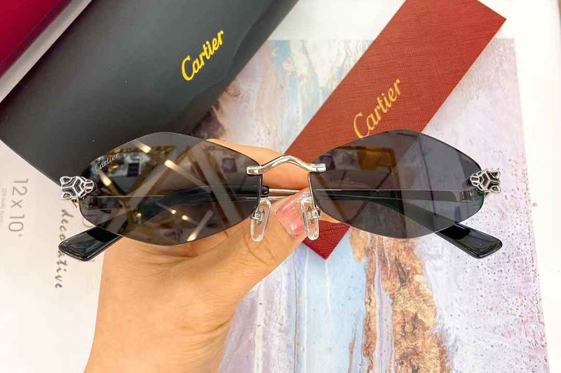 CT0433S Sunglasses Silver Photochromic Gray