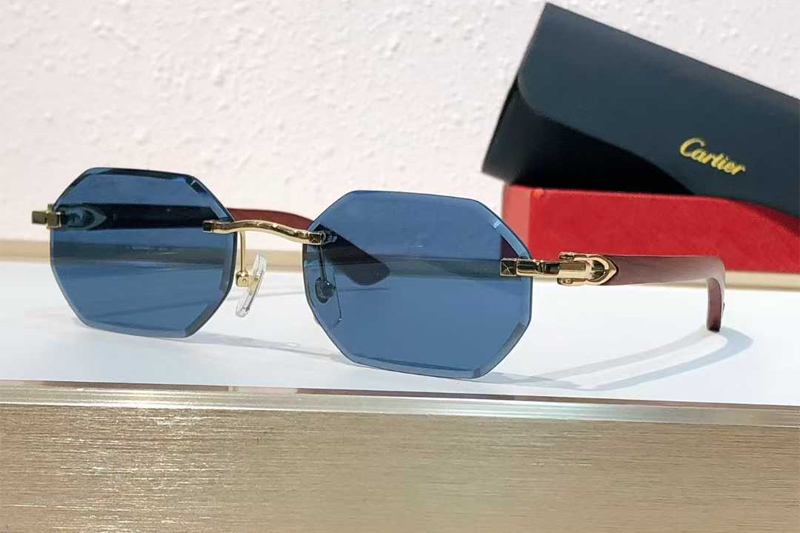CT0439S Sunglasses Gold Blue