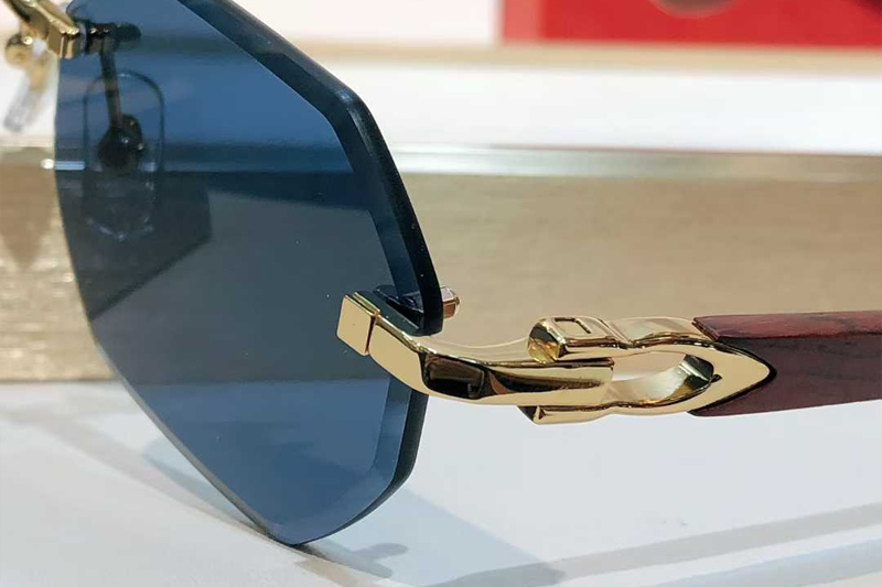 CT0439S Sunglasses Gold Blue