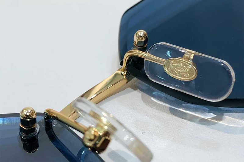 CT0439S Sunglasses Gold Blue