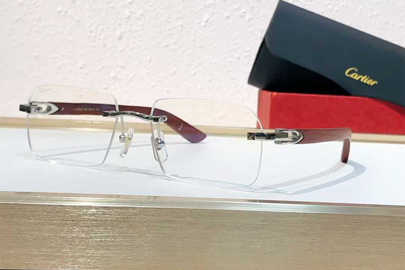 CT0453O Eyeglasses Silver