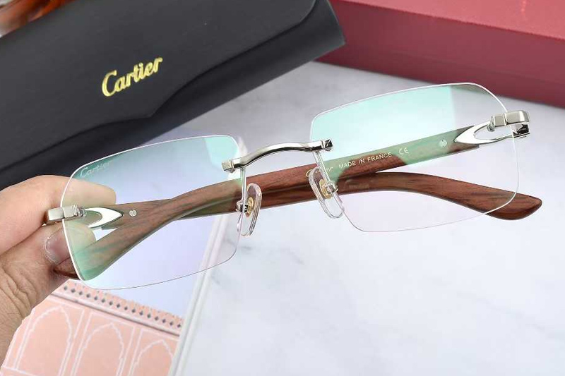 CT0453O Eyeglasses Silver