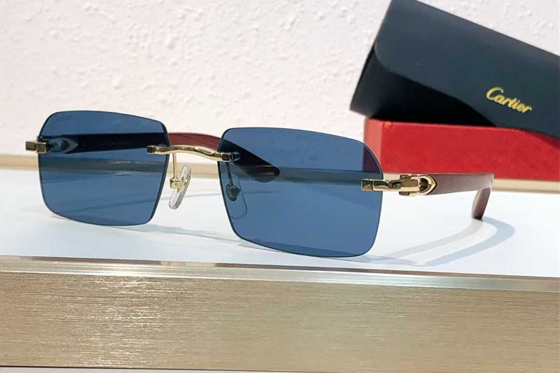 CT0453O Sunglasses Gold Blue