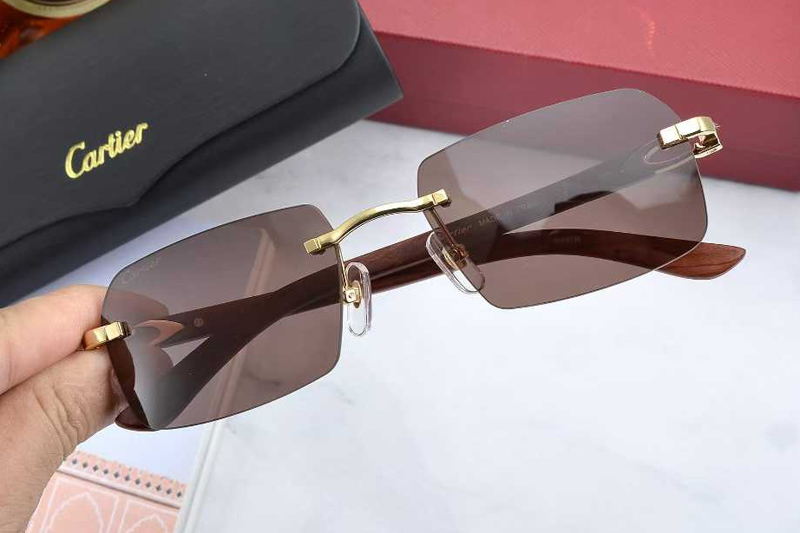 CT0453O Sunglasses Gold Brown