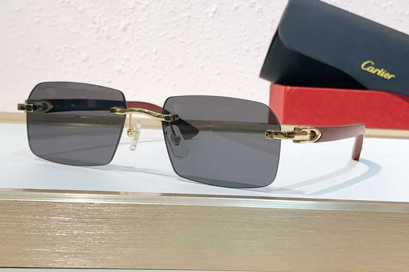 CT0453O Sunglasses Gold Gray