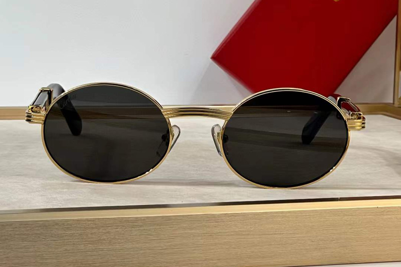CT0464S Sunglasses Gold Black Gray