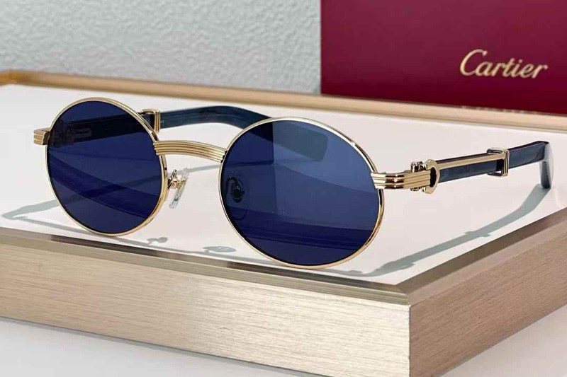 CT0464S Sunglasses Gold Blue Blue