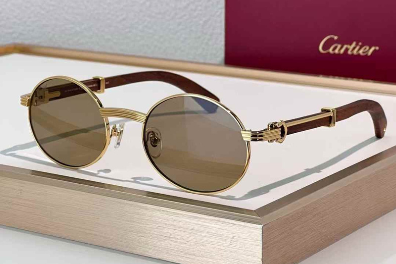 CT0464S Sunglasses Gold Red Brown