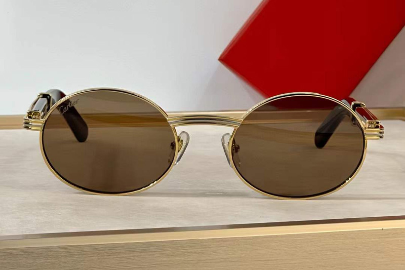 CT0464S Sunglasses Gold Red Brown