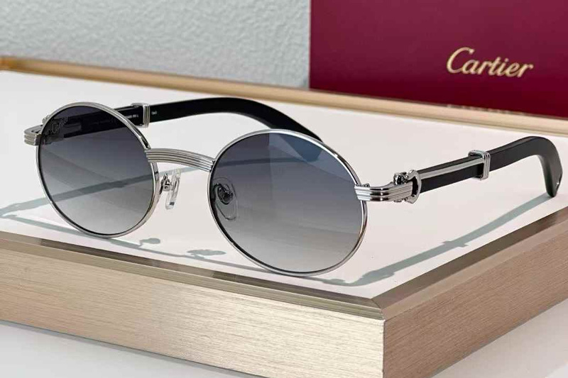 CT0464S Sunglasses Silver Black Gradient Gray
